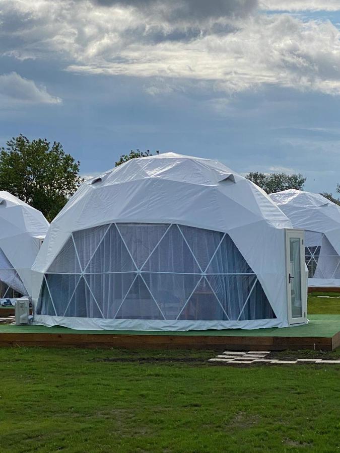 Două iglu-uri vecine pe gazon