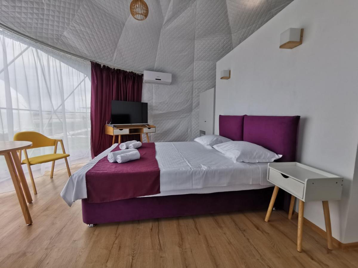 Family Igloo — perspectiva spre intrare