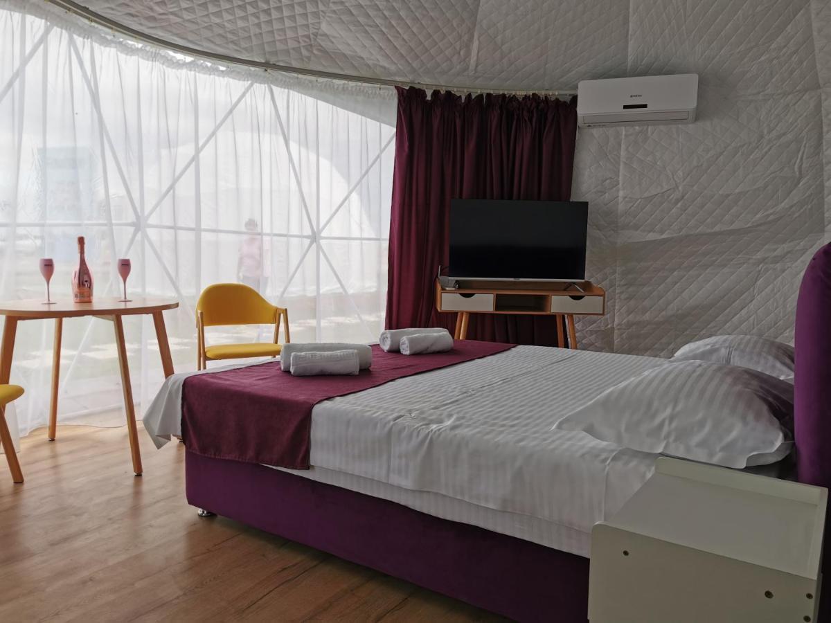 Interior Family Igloo cu zonă de zi
